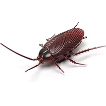 羊頭狗肉　ゴキブリ（G）　　　おもしろグッズ 51f01X4H7eL._AC_UL210_SR210,