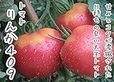 【てしまの苗】接木トマト/りんか409　 　9cmポット