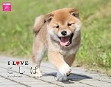 I LOVE こしばカレンダー2017 壁掛け ([カレンダ-])