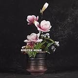 BAGEHUA 新しい中国スタイルのヴィラモデル・ルーム当ホテルの入り口でソフトの強豪ホーム家具シミュレーション花マグノリアの花の装飾、図