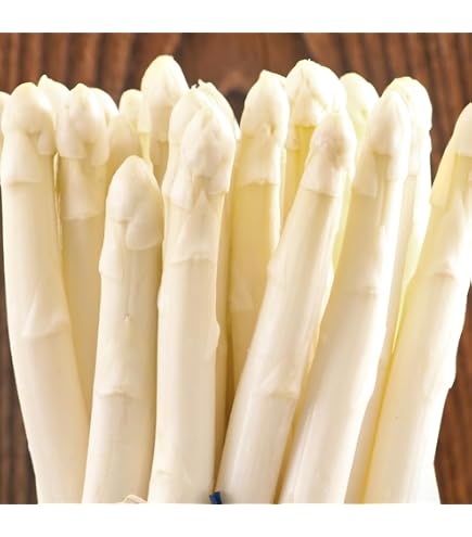 Amazon.co.jp: （北海道産） アスパラ ホワイトアスパラガス 800g （S