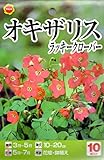 春植え球根 オキザリス 四つ葉のクローバー (530225)