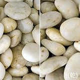 マツモト産業 洋風砂利 クリスタルストーン ホワイト(15kg)(10袋セット) 小