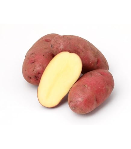 Amazon.co.jp: 里芋?.*?新潟県胎内市砂丘地産 : 食品・飲料・お酒