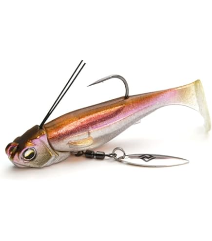 Amazon.co.jp: レイドジャパン(Raid Japan) HEADSWIMMER LIBERO