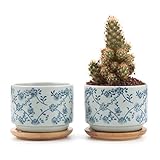 T4U 7.5CM 陶器鉢 和風シリーズNo.6 春の藤 多肉植物 サボテン鉢 フラワーポット プランター容器 バンブートレイ付き 2個入り