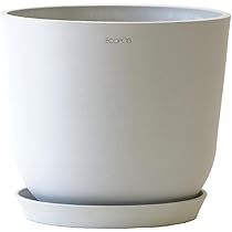 Amazon.co.jp: ECOPOTS Oslo 植木鉢 12号 おしゃれ 軽い 鉢 鉢カバー