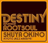 DESTINY replayed by ROOT SOUL