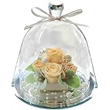 プリザーブドフラワー IPFA ガラスドーム エレガンス (ピーチ＆シャンパーニュ) 誕生日 プレゼント 結婚祝い 結婚記念日 退職祝い フラワーギフト ホワイトデー お返し おしゃれ