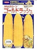 ゴールドラッシュ  　サカタのイエロートウモロコシ種です