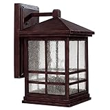 Capitol Lighting - 9913MZ [並行輸入品]