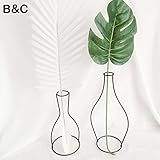 2組の植物は、黒線を配置した抽象的な幾何学的鉄フレームの花瓶パイナップル＆ミートリー植物＆サボテン＆花