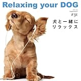 犬と一緒にリラックス