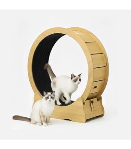 FODME キャットホイール 714sCItxveL.jpg_BO30,255,255,