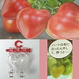 ハートのトマトミニ5個入り5個セット（合計25個）（ミニトマト用型どりケース） ノーブランド品
