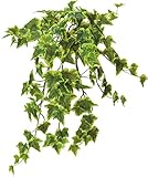 ポピー 造花の観葉植物 アイビーブッシュM イエローグリーン GL-5043Y/G