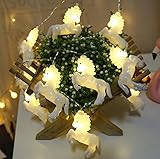 1.5 M / 10 LED ストリングライト ユニコーンバッテリー ウォームホワイトの子寝室インドア 祝日　結婚式　パーティー　，電池式 飾り ワイヤーライト 防水 防雨パーティー電飾