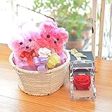 [florence du]プードルバスケット&カラーが選べるミニプリザーブドフラワーアレンジ ジュエリーボックス入 フラワーギフト 花 ギフト 誕生日 結婚 お祝い (レッド)