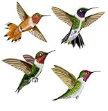 Wild Life Animals Wall Sticker Mural Hummingbirds, Large by Instant Murals