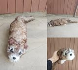 手品 マジック ラクーン ラッキー君 白顔 【ギフト袋付】スプリングペット マギー 奇術 かわいい 動物 アライグマ ぬいぐるみ