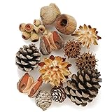 大地農園 ドライフラワー アフリカンコーンナチュラルミックス(15コ入り) DO021410-000
