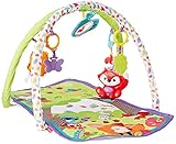 Fisher-Price 3-in-1 Musical Activity Gym [並行輸入品]