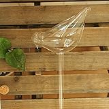 amzmonnsuta 150mLかわいい鳥　当番　自動水まき　ガーデン・鉢植え・潅漑 ・水やり　観葉 植物　散水 栽培家