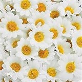 ADSRO 100個人工花卸売フェイク花ヘッドGerbera DaisyシルクフラワーヘッドひまわりSun Flower Headsウェディングパーティー花の装飾ホーム H3165415QK7V692