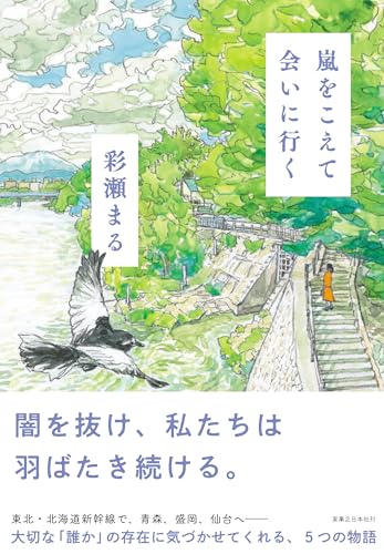 彩瀬まる:嵐をこえて会いに行く