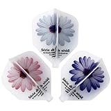 D.craft × Fit Flight フライト Flower マーガレット