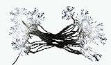 Benzara Snowflake String Lights with 20 White LED Lights [並行輸入品]