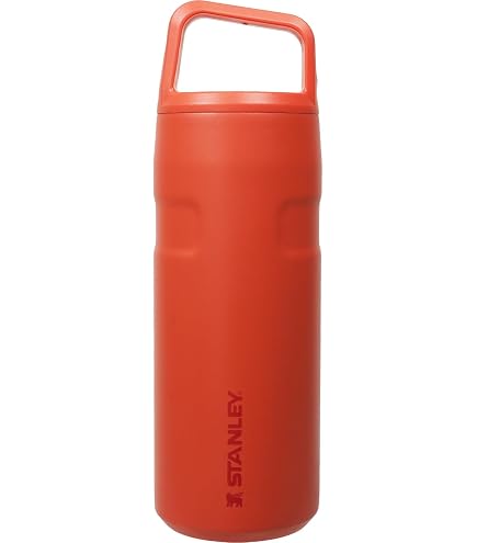 Amazon.co.jp: Stanley GO The Quick Flip GO Bottle : スポーツ