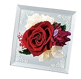 ルージュサイド レッド F1761