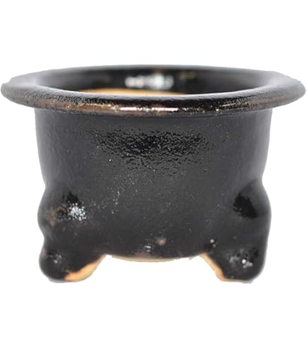 万年青鉢　京楽焼鉢　盆栽鉢 山野草の石田精華園 / 【現品】 京楽焼植木鉢 愛楽園 万年青錦鉢(古鉢