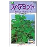 スペアミントの種4袋セット[ハーブの種：春・秋まき][水耕栽培可能] ノーブランド品