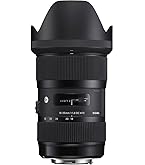 Amazon.co.jp: SIGMA 30mm F1.4 DC HSM | Art A013 | Sigma SAマウント