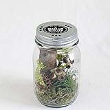 GLASS JAR WITH LED JUNGLE (グラスジャー ウィズ LED ジャングル) Sサイズ