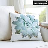 inteeonホームシリーズクッション枕Succulent印刷リムーバブル4040洗濯可能クッション正方形ウエスト 366-201336100