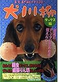 犬川柳 ダックス編
