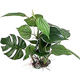 Outfun 装飾植物　リアル　水族館用　人工水草