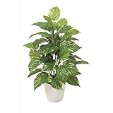 光の楽園【光触媒／人工観葉植物】67cm フレッシュポトスM 生活用品 インテリア 雑貨 インテリア 家具 観葉植物 top1-ds-1810305-ak [簡易パッケージ品]