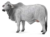 CollectA Brahman Cow [並行輸入品]
