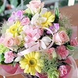 エーデルワイス 【ピンクスター】 アレンジメント シンビジューム(シンビジウム) 花工房 花贈り ギフト