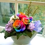 Reve  プリザーブド フラワーアレンジ　 レインボー vivid レインボーローズ