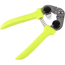 ぎんなん様せんよう 51fRgxYjtzL._AC_UL210_SR210,