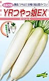 松永種苗 松永交配 YRつやっ娘EX (ダイコン) 小袋3ml