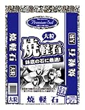 大宮グリーンサービス プレミアムソイル 焼軽石砂 大粒 2L