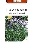 ラベンダー マンステッド 藤田種子 ハーブ 0.2ml