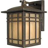 Quoizel HC8407IB Hillcrest 1-Light Outdoor Wall Fixture, Imperial Bronze [並行輸入品]