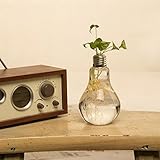 LuxBene(TM) 家の装飾の結婚式の装飾電球透明ガラスの花瓶ファッション水耕花瓶ホームデコレーションE0